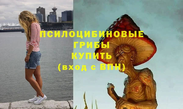 а пвп мука Кинешма